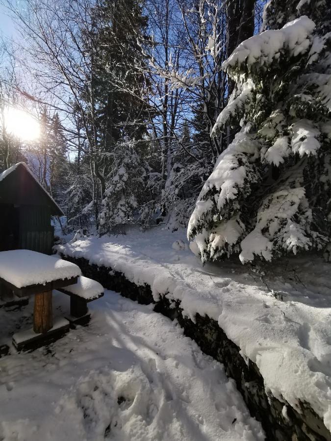 Koca Kresnica Villa Ilirska Bistrica Exteriör bild