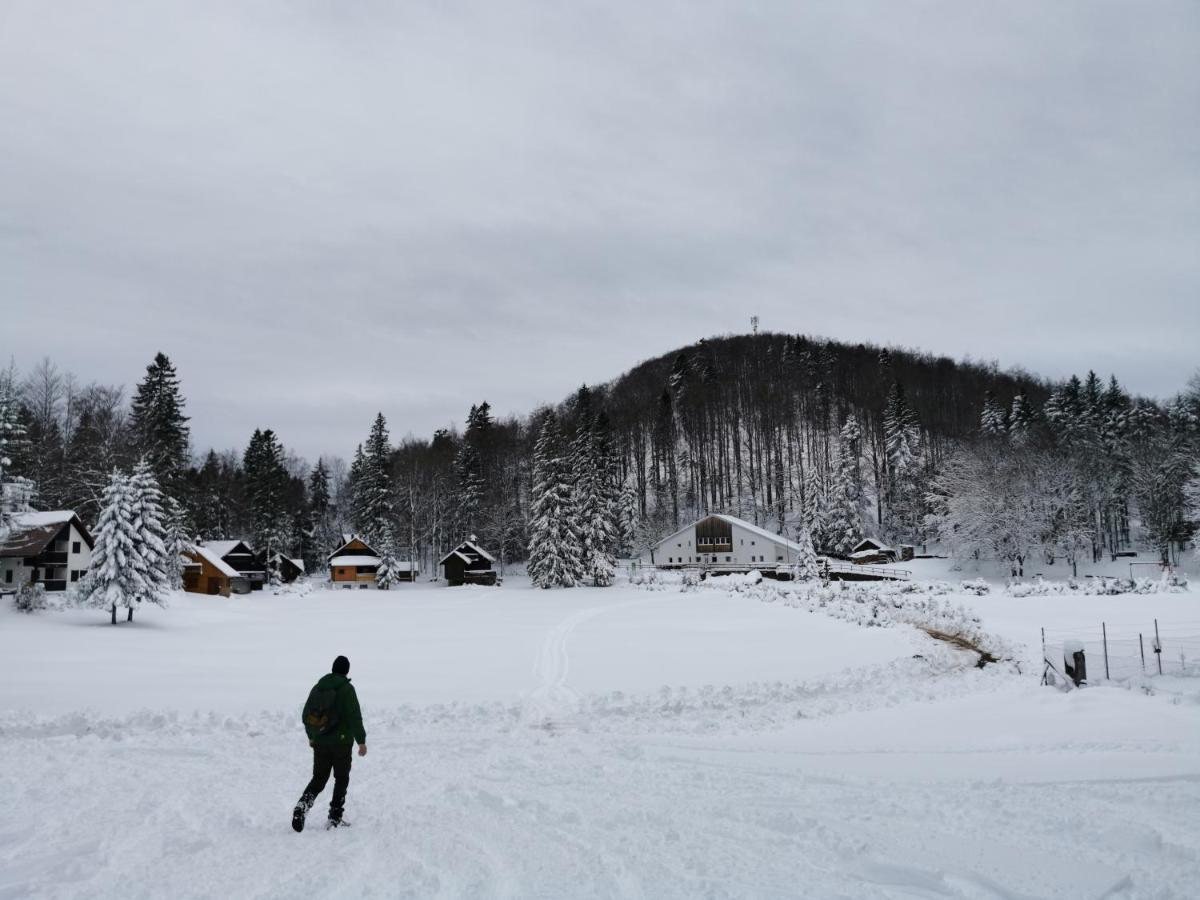 Koca Kresnica Villa Ilirska Bistrica Exteriör bild
