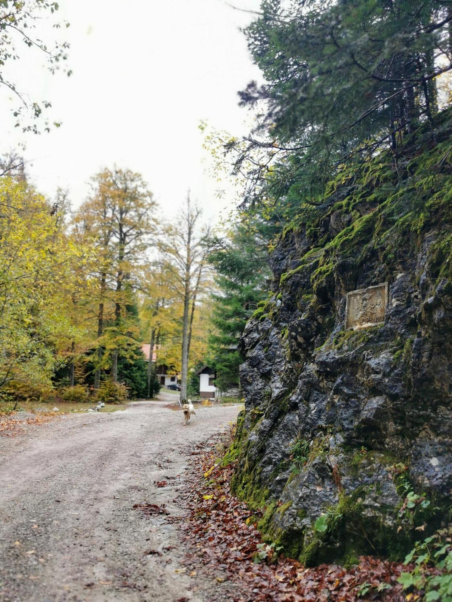 Koca Kresnica Villa Ilirska Bistrica Exteriör bild
