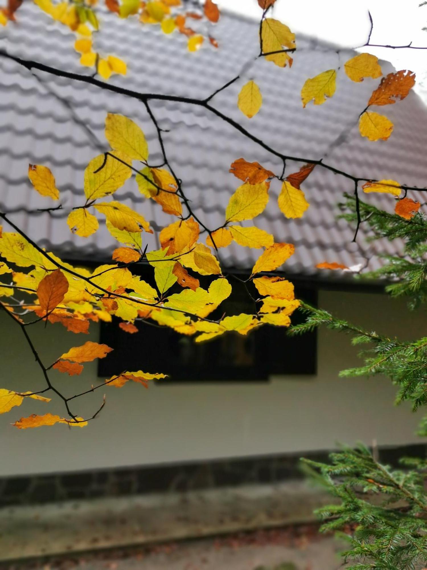 Koca Kresnica Villa Ilirska Bistrica Exteriör bild