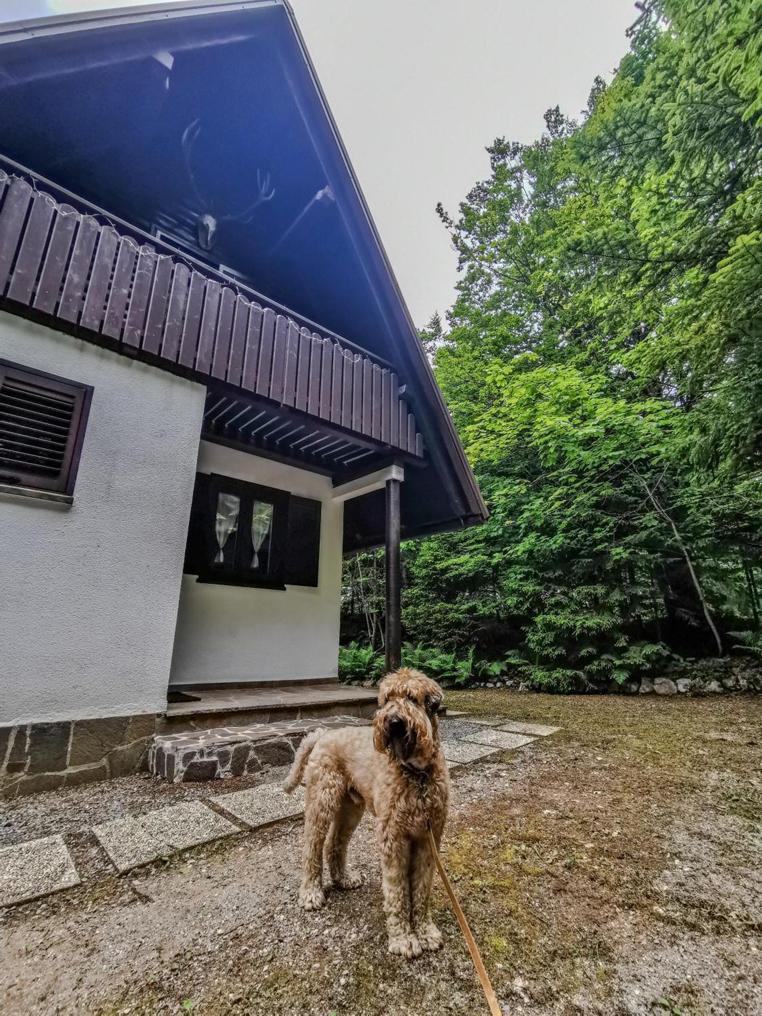 Koca Kresnica Villa Ilirska Bistrica Exteriör bild